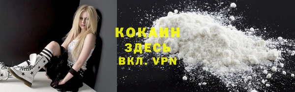 ПСИЛОЦИБИНОВЫЕ ГРИБЫ Гусев