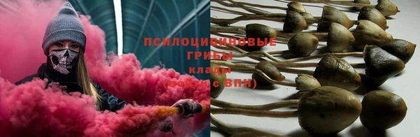 круглые Гусиноозёрск