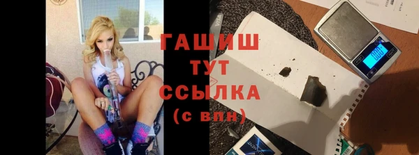 ПСИЛОЦИБИНОВЫЕ ГРИБЫ Гусев