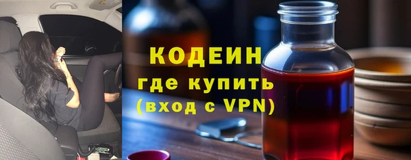 ПСИЛОЦИБИНОВЫЕ ГРИБЫ Гусев
