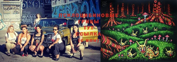 ПСИЛОЦИБИНОВЫЕ ГРИБЫ Гусев
