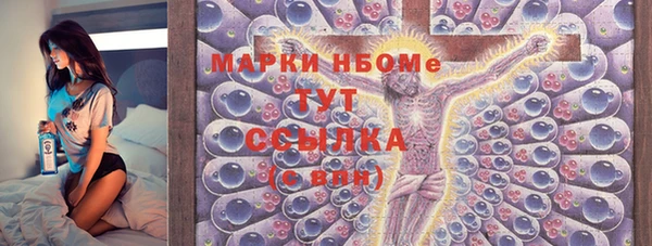 ПСИЛОЦИБИНОВЫЕ ГРИБЫ Гусев